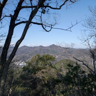 なんか最後あっちの山行くんだろうね、私💦