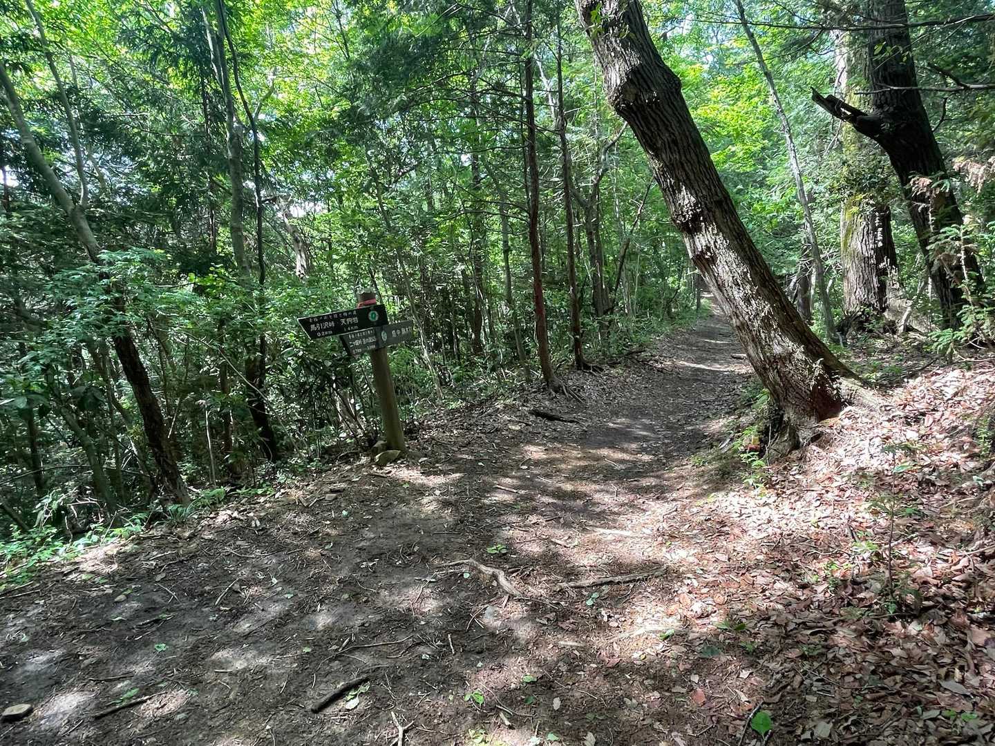 天祖神社登山口-馬引沢峠-赤ぼっこ-畑中三丁目バス停-畑中 縦走コースの写真
