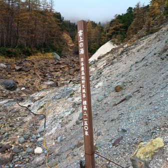 本沢温泉 雲上の湯