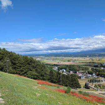 北東。上富良野町方面。旭岳（中左）方向、トムラウシ山（中右）方向