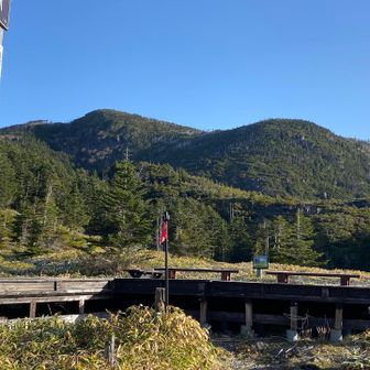 まだまだだな。ここまで登山口から1時間。