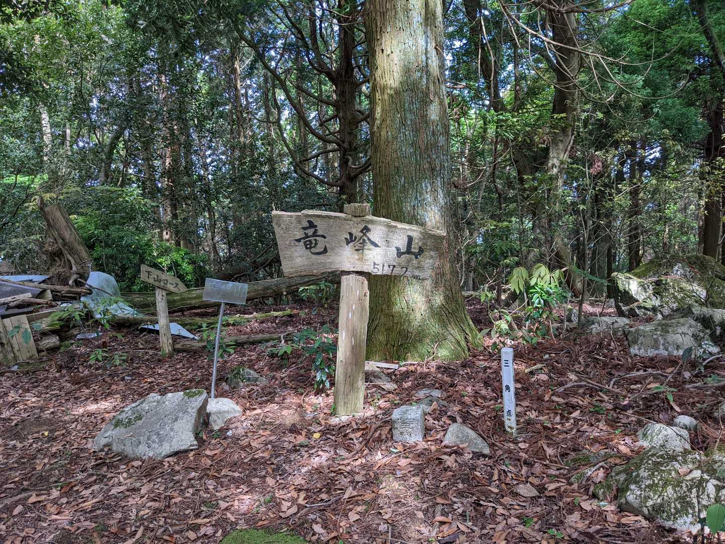 5合目登山口-竜峰山 往復コースの写真