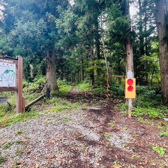 帰ってきました〜　お疲れ山でした⛰️