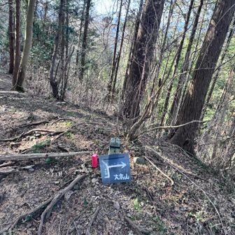 こちらはまだ、立ってるけどまあ、埋まってるな