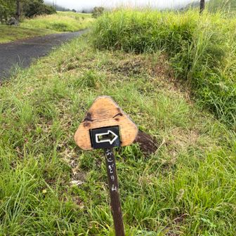 おにぎり山はこっちだよ