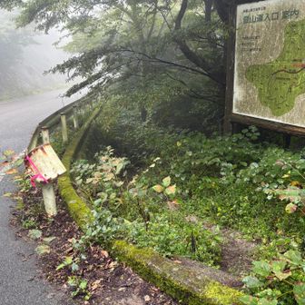 ここ右を入る