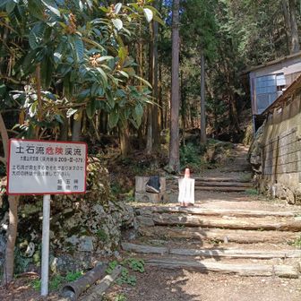 登山道おしまい