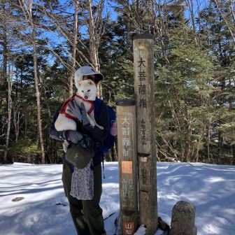 丸川峠からあっさり着いた