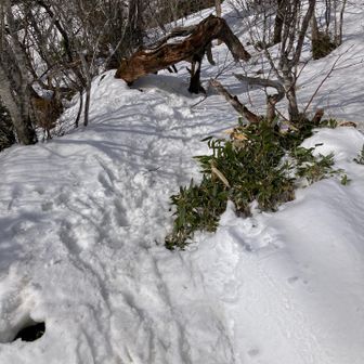 裏側を下って、