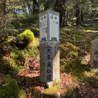 阿弥陀ヶ森の道標
山上ヶ岳3.0km
大普賢岳 1.9km
柏木 7.7km😳