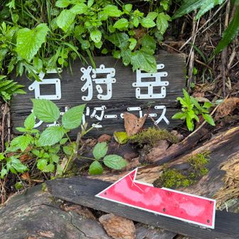 いよいよ、急登の始まりを予感させる案内板。