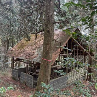ショウケ越の目印。