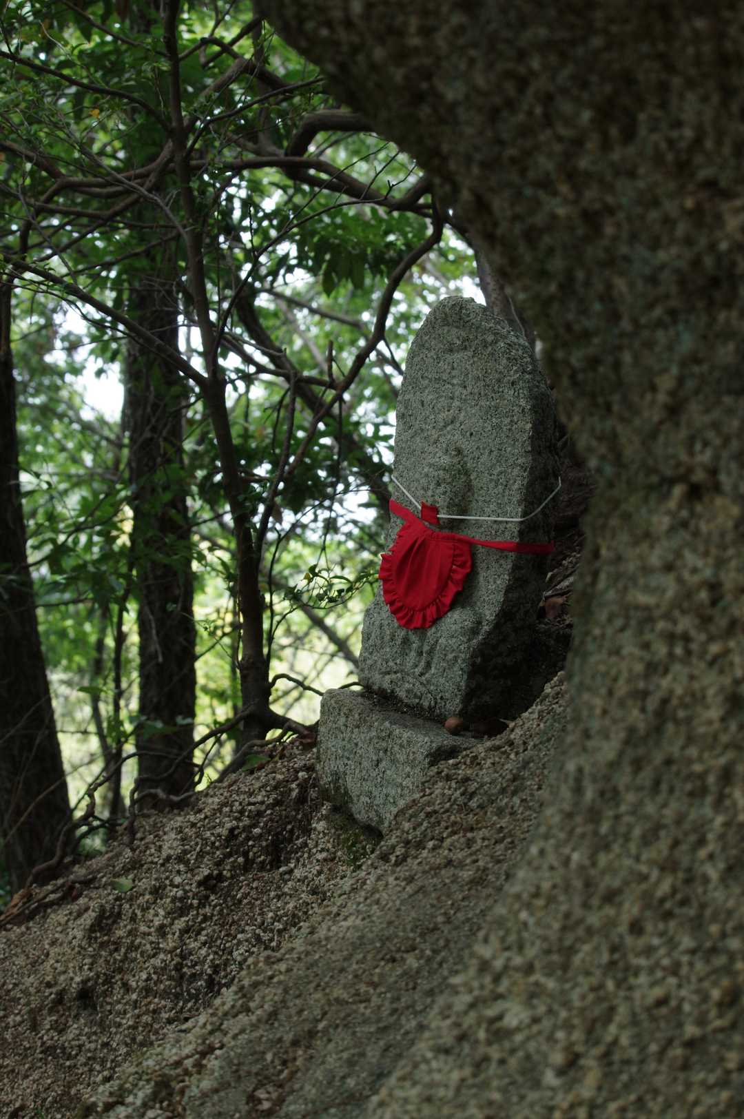 木陰で一休み😁