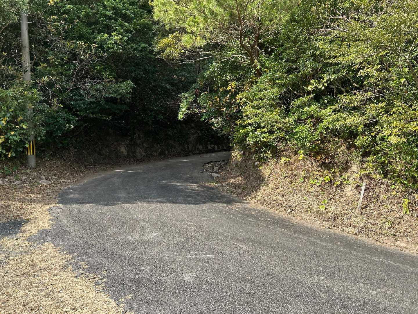 間違えてこちらに登ってしまう😓