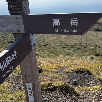 どうにか、尾根に着いた💦