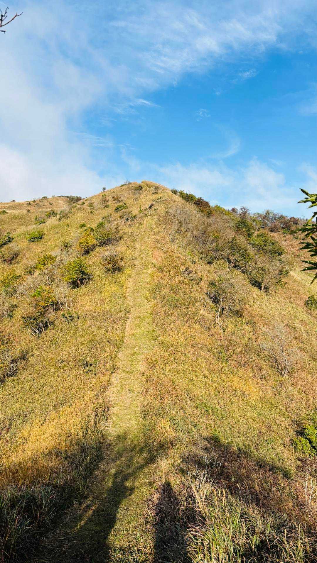 ちょっと急な登り💦
