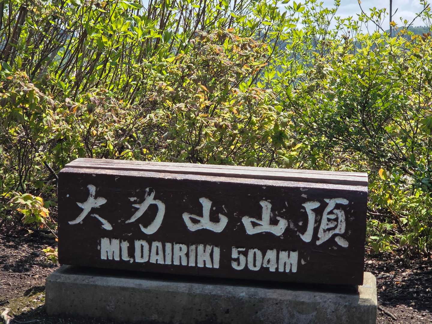 また大力山山頂へ戻ってきました