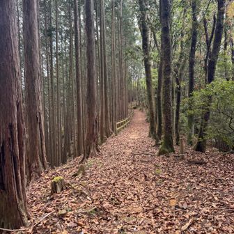 向こう側に景色が良いところが有るようなので行ってみます。