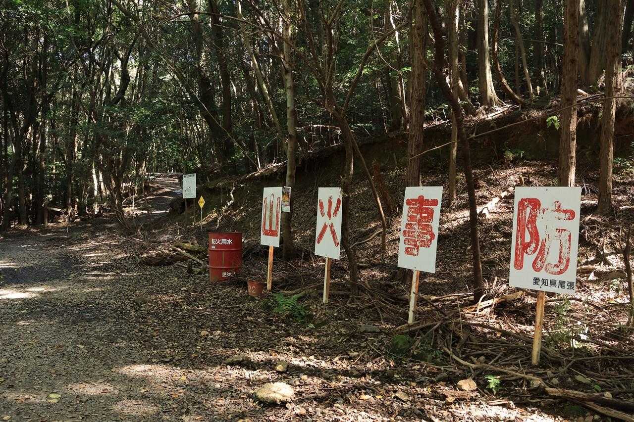 今日は1人なので、林道から