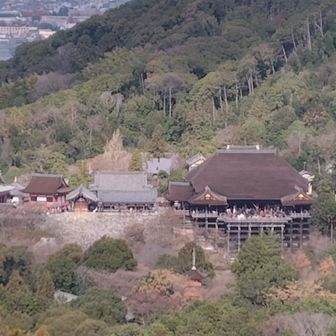 おかわりいただけただろうか…
人の群れである