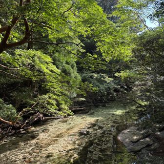 川底まではっきり