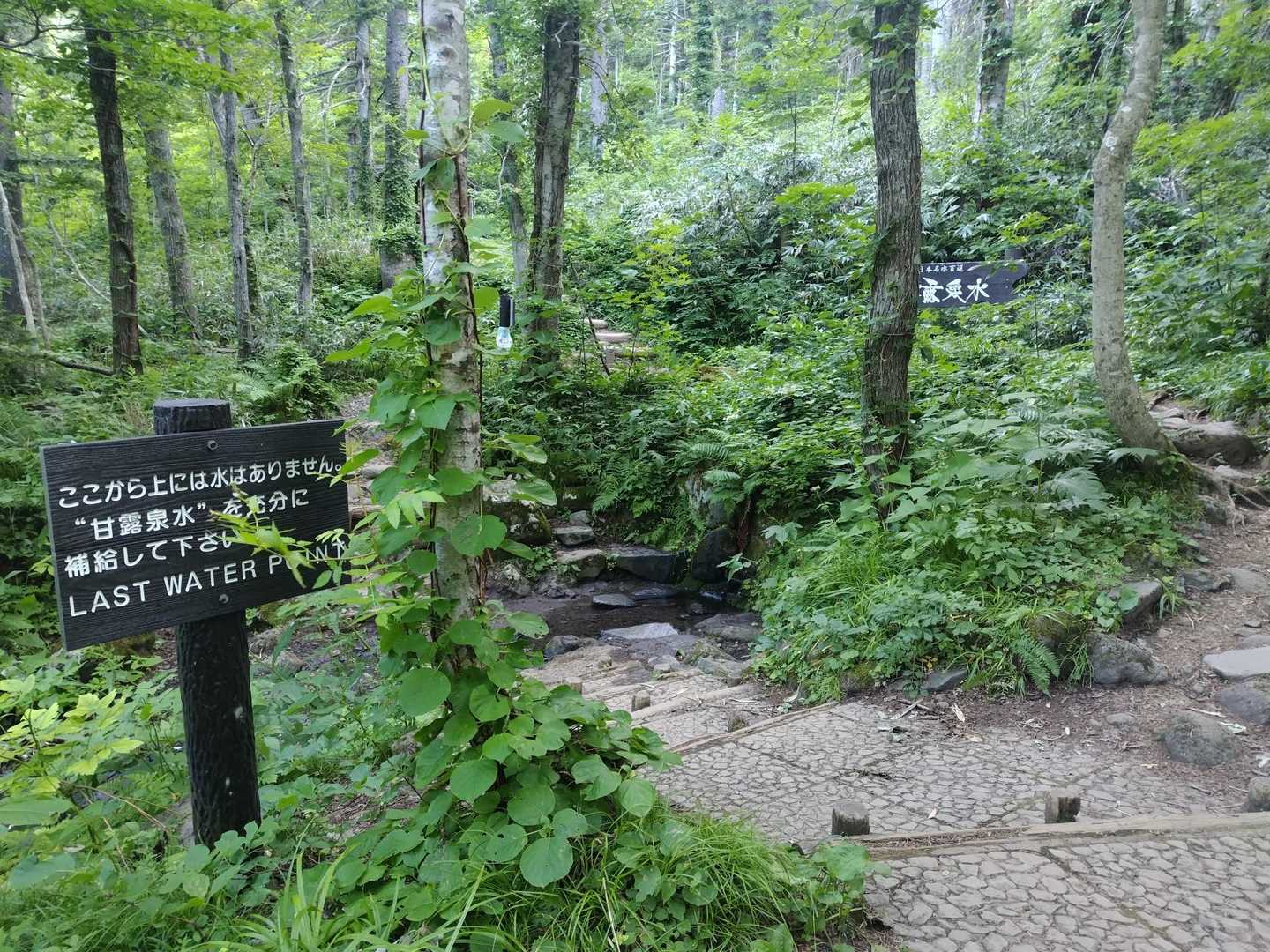 利尻北麓野営場登山口-ポン山-小ポン山 往復コースの写真