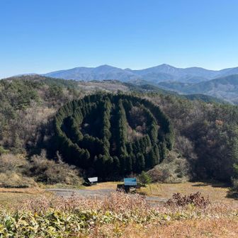 これは、何のマーク？