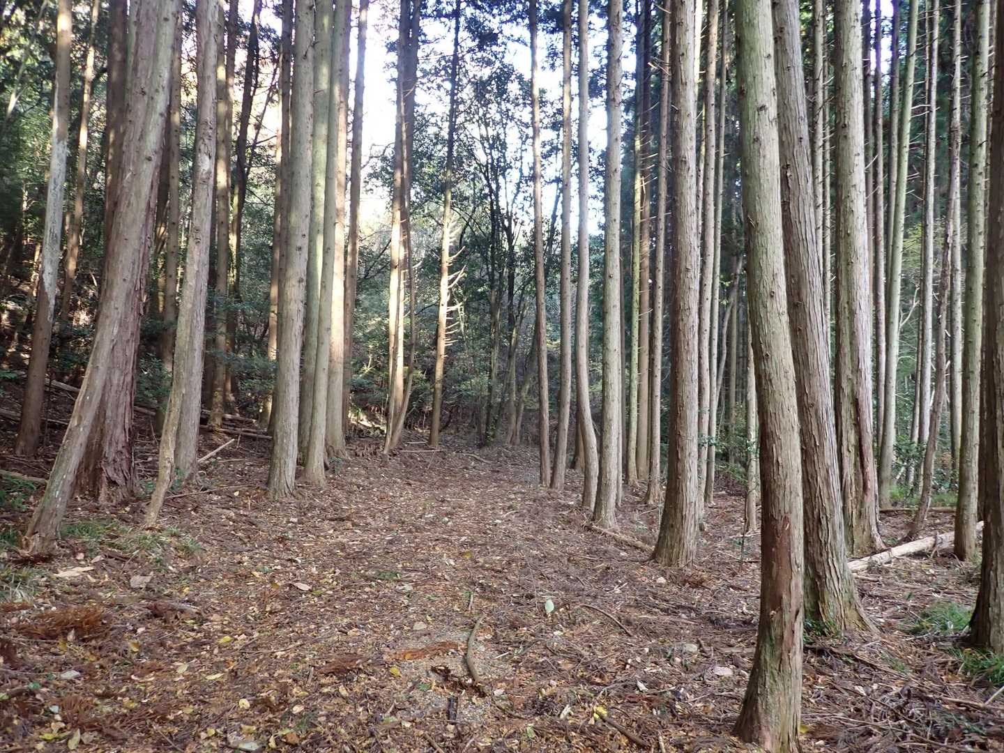無理矢理戻る
