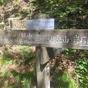 そうそう、ここここ！
この標識からは…
かなり本気を出さないと…