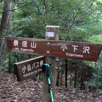 分岐
