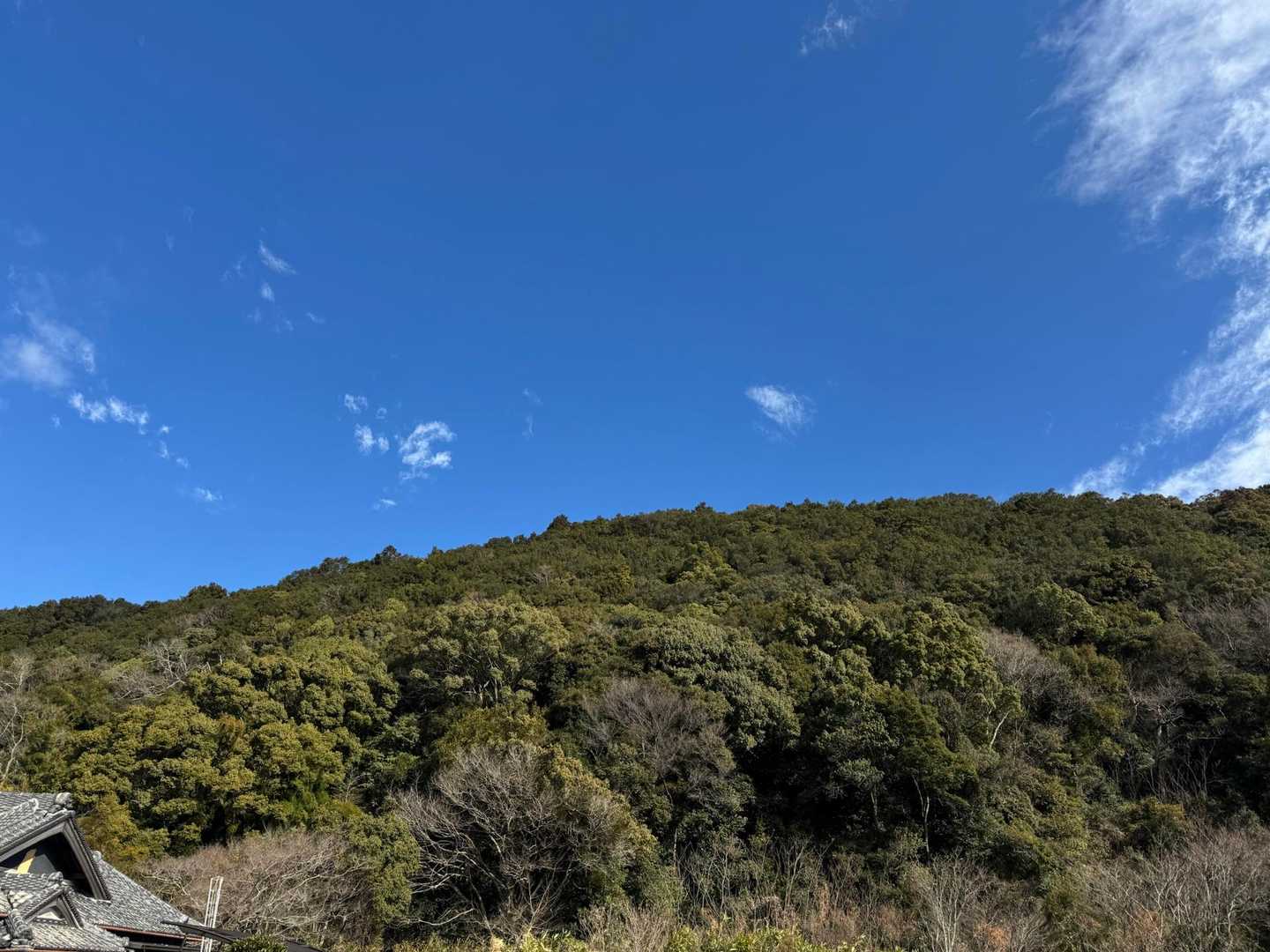出だしの天気は、抜群✨山には青空がピッタリです♪