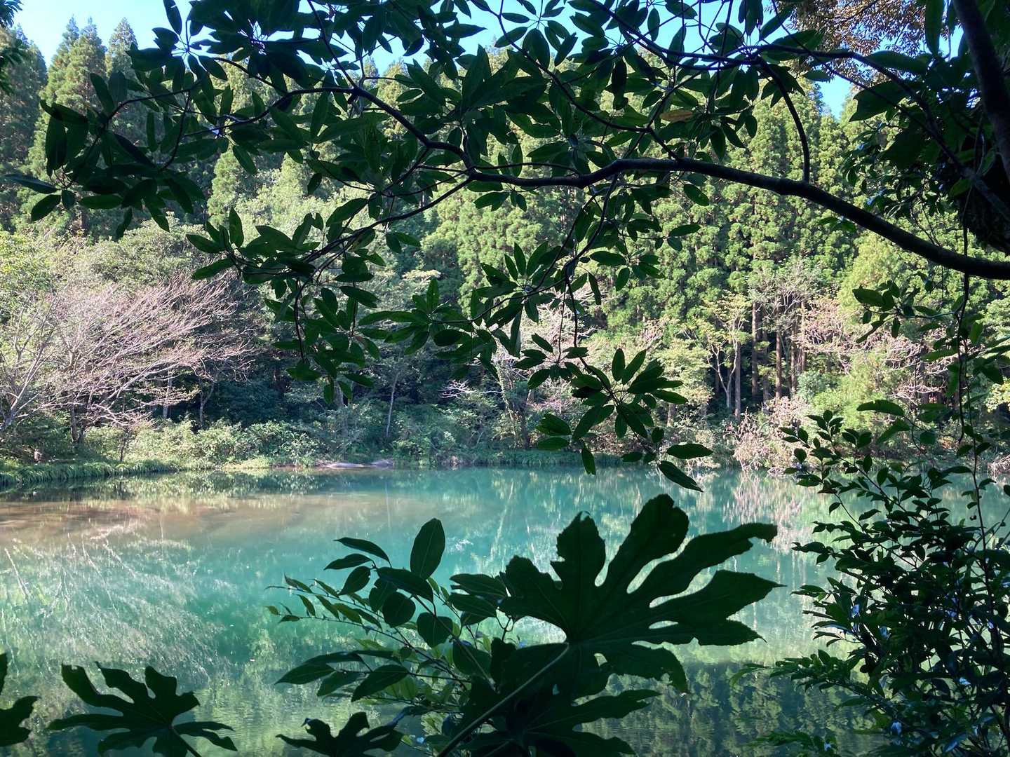 前岳 往復コースの写真