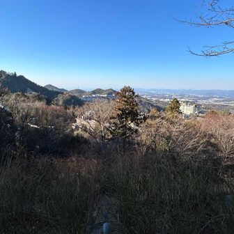 先週に引き続き、稲荷神社⛩️から🙏