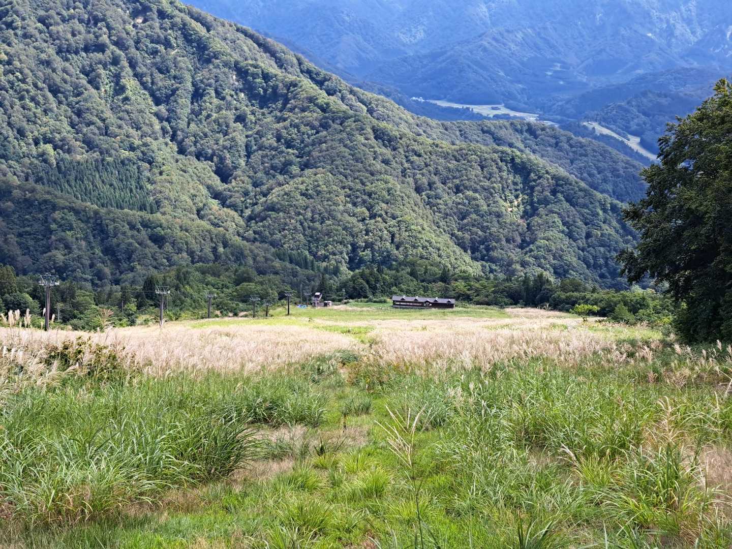 飯士山登山口-南コース登山口-飯士山 周回コースの写真