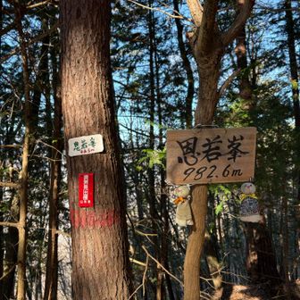 本日二座目の恩若峯ですが、こちらも眺望なし