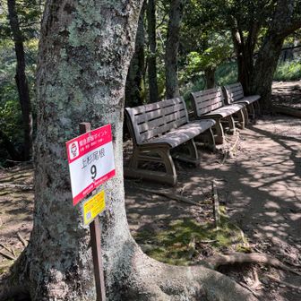 ココはベンチが有り休憩には最高😀