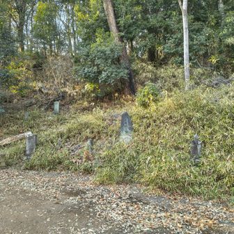 お寺の裏手に出てきた。これ、逆周りだと判りにくいね
天狗山から３つゆるいピークを経て到着