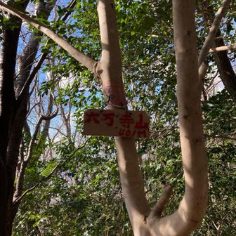 六万寺山⛰️山頂