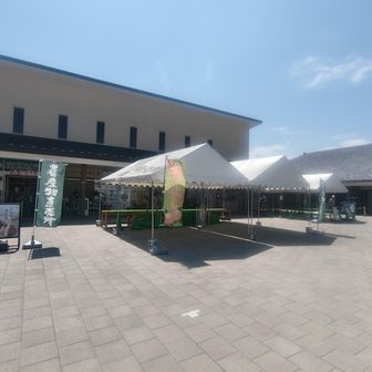 道の駅おがわまち