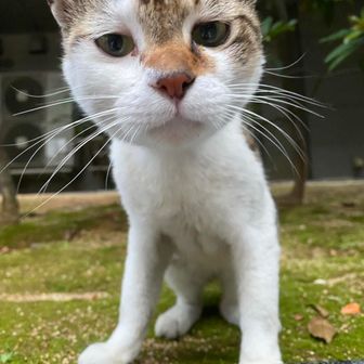 なおき