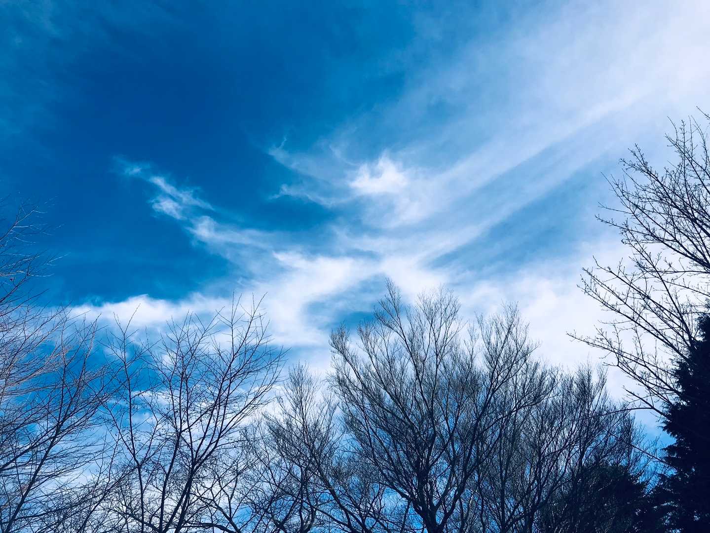 貫ヶ岳（中沢登山口）の写真