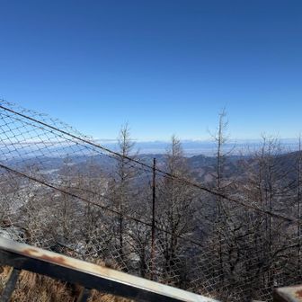 今日もいい感じです。