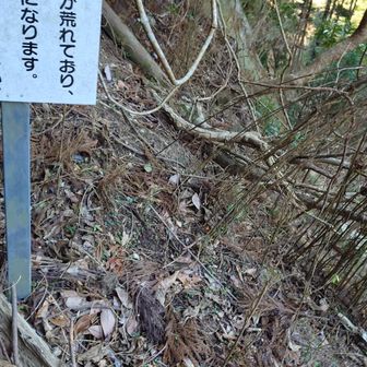 スイセンピーク取り付き