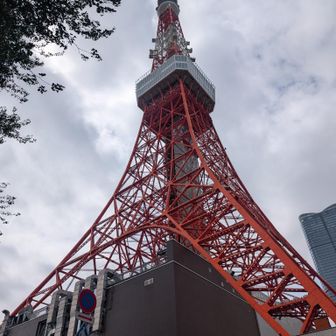 東京タワー🗼のフードコートでお昼ご飯