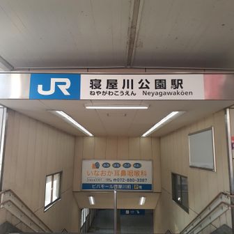 久しぶりの膝痛でなんとか「必死のパッチ」で駅まで🚃帰って来ました😥お疲れ山でした⛰️
