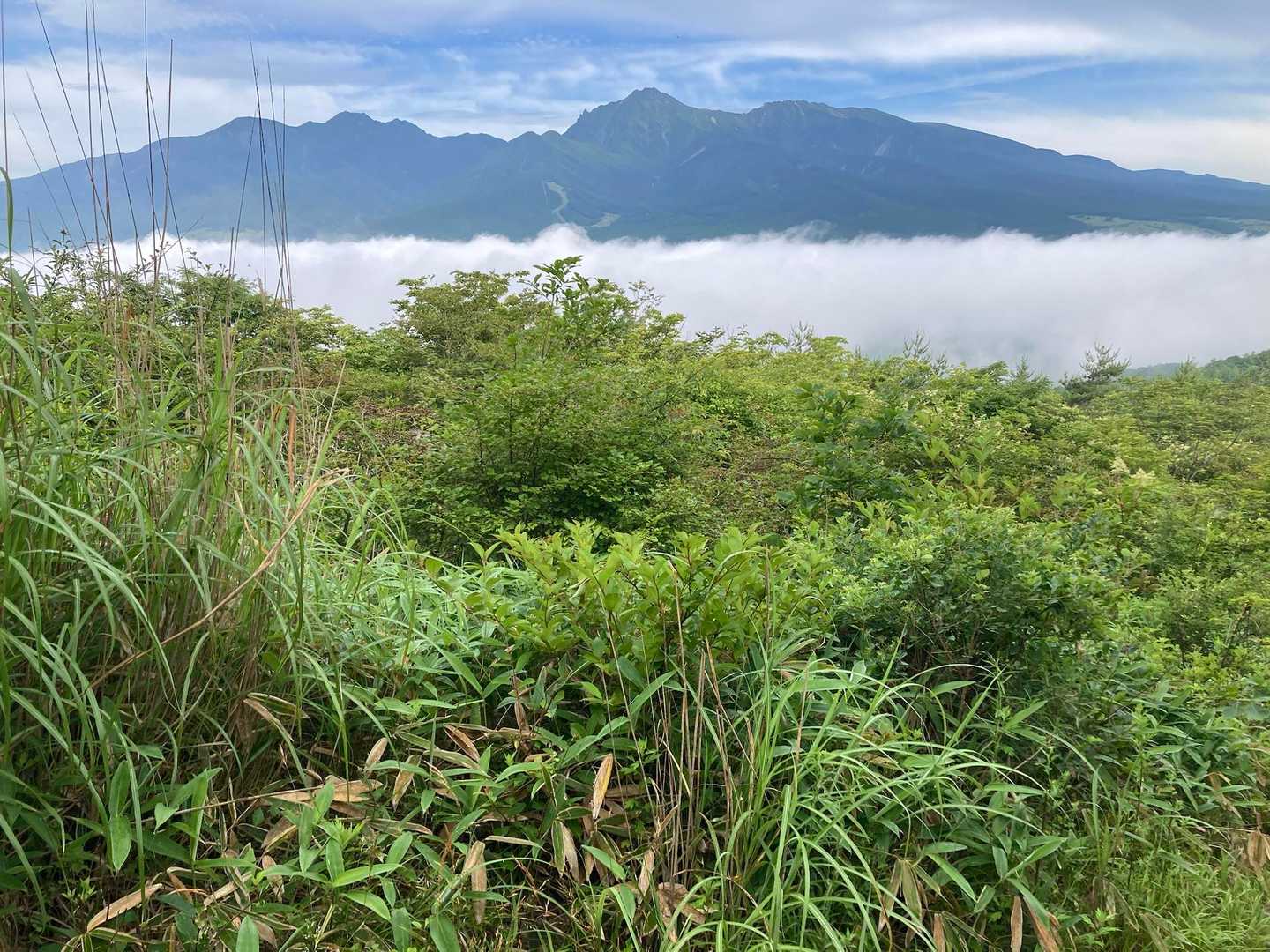獅子岩駐車場から
登山支度中にガスが少しの間取れて八ヶ岳バッチリ📸