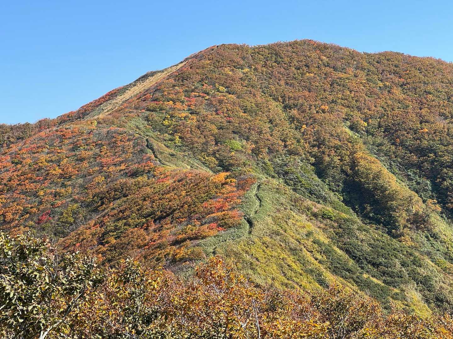 ふふふ🥰紅葉バッチリ