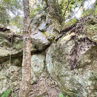 うーんやっぱり経文は見えない…マサイ族の視力なら見つけられたかもしれない…