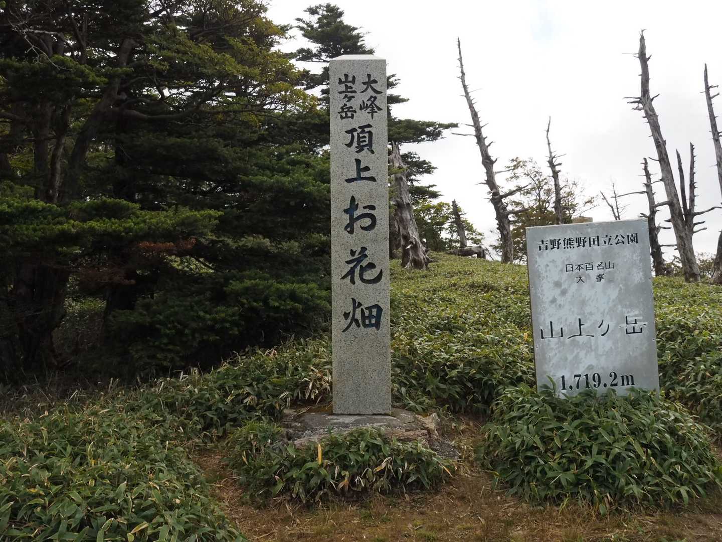 洞辻茶屋-山上ヶ岳 周回コースの写真