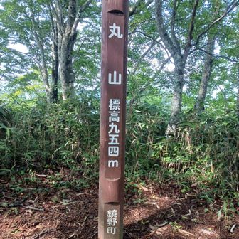 苦労して丸山に登頂🙌

無理せず伯州山からピストンするべきだったなぁ🥹